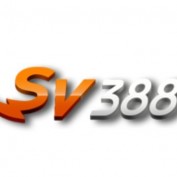 dagasv388bizcom profile image