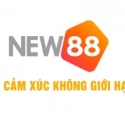 New88com23 profile image