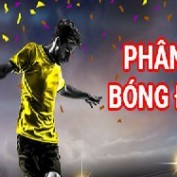 nhandinhlaziowebsite profile image