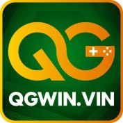 qgwinvin profile image
