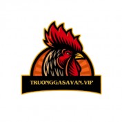 truonggasavanvip profile image