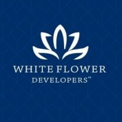 whiteflower01 profile image