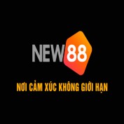 new889online profile image