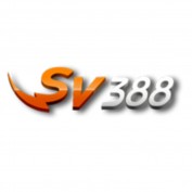 scv388vn2023 profile image