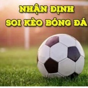 nhandinhbayernonline profile image