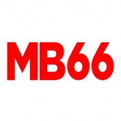 mb66vin profile image