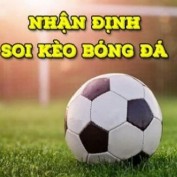 nhandinhbongda247online profile image