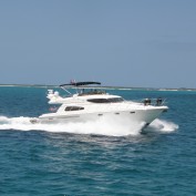 Miami Terri profile image