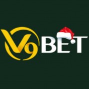 v9betagency profile image