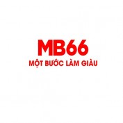 mb66center profile image