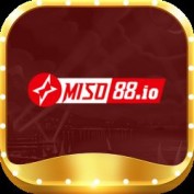 miso88io profile image