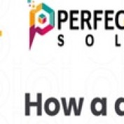 webdeveloperservices profile image