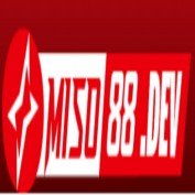 miso88run profile image