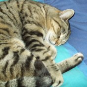 jamestame profile image