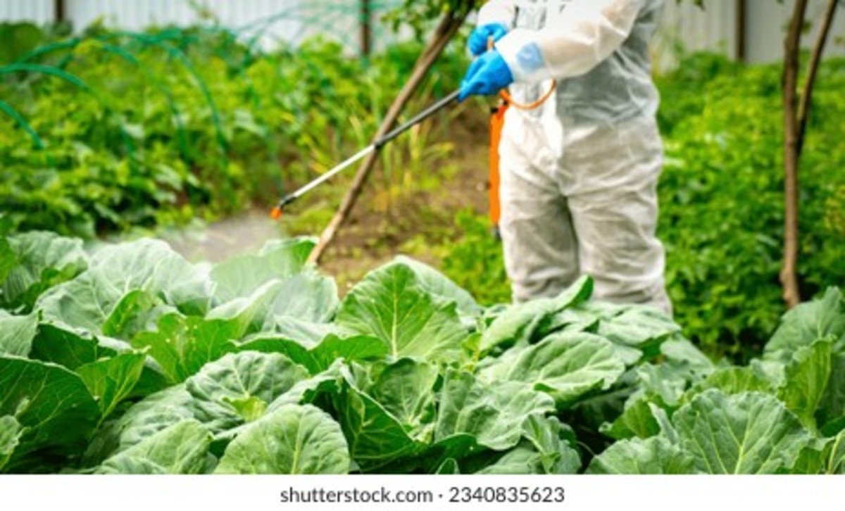 How to Remove Pesticides and Chemicals from your Fruits and Vegetables