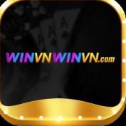 winvnwivncom profile image