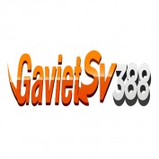 gavietsv388today profile image