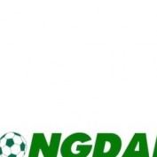 bongdanetwork profile image