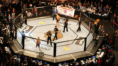 The pay per view generates awesome revenue for UFC aside from audience entrance tickets and sold merchandise and souvenirs.