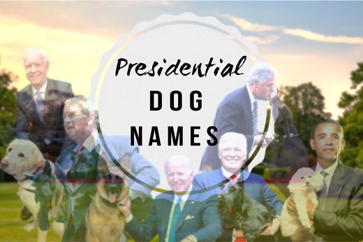 Presidential Dog Names