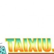 taixiuagency profile image