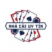 nhacaiuytinpl profile image