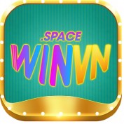 winvnspace profile image