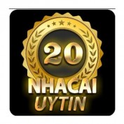 top20nhacaiuytin profile image