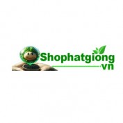 hatgiong profile image
