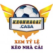 xemtylekeonhacai profile image