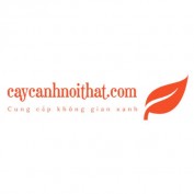 caycanhnoithat profile image