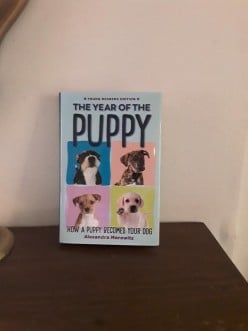 Puppy's First Year as Told in Educational Story That All Dog Owners Can Appreciate
