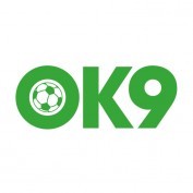 ok9group profile image