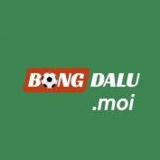bongdalumoi profile image