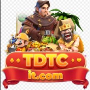 tdtcitcom profile image