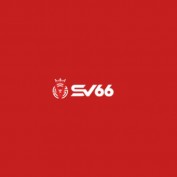 sv6655 profile image