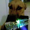 DVD Hound profile image