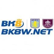 bk8wnet profile image