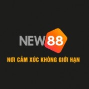 webnew88club profile image