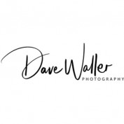 davewallerphotography profile image davewallerphotography profile image