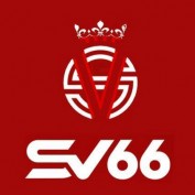 sv6633 profile image