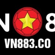 vn883co profile image
