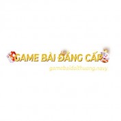 gamebaidtnavy profile image