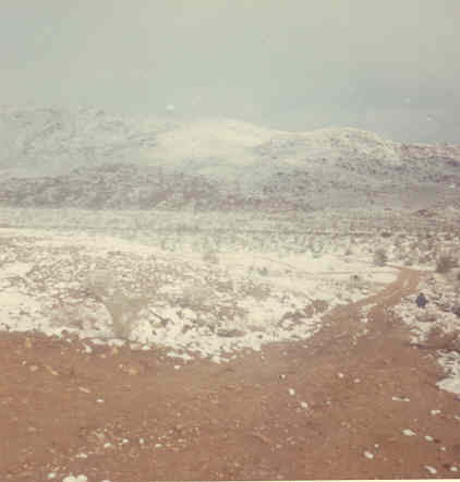 Winter view