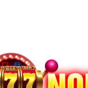 nohudoithuongbid7 profile image