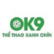 ok9netin profile image