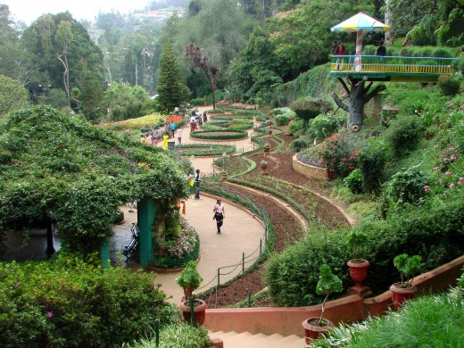 Ooty Botanical Garden