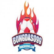 kinhnghiemcacuoc profile image