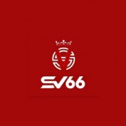 sv66008 profile image