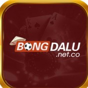 bongdalunetco profile image